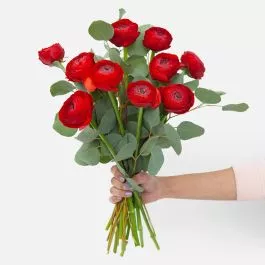 Fire Red Ranunculus Bouquet