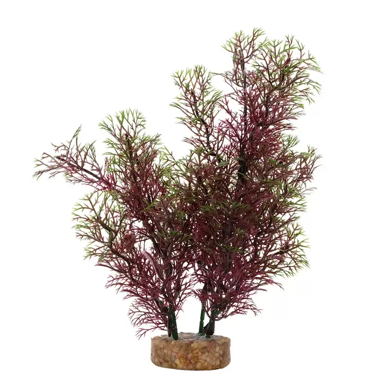Fluval Aqualife Red Green Foxtail Plant 8 inch