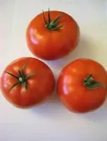 Foronti F1 Beefsteak Tomato
