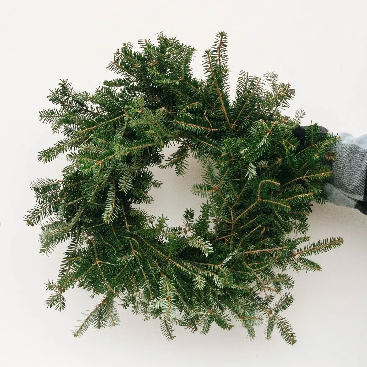 Fraser Fir Wreath – 20 Inch