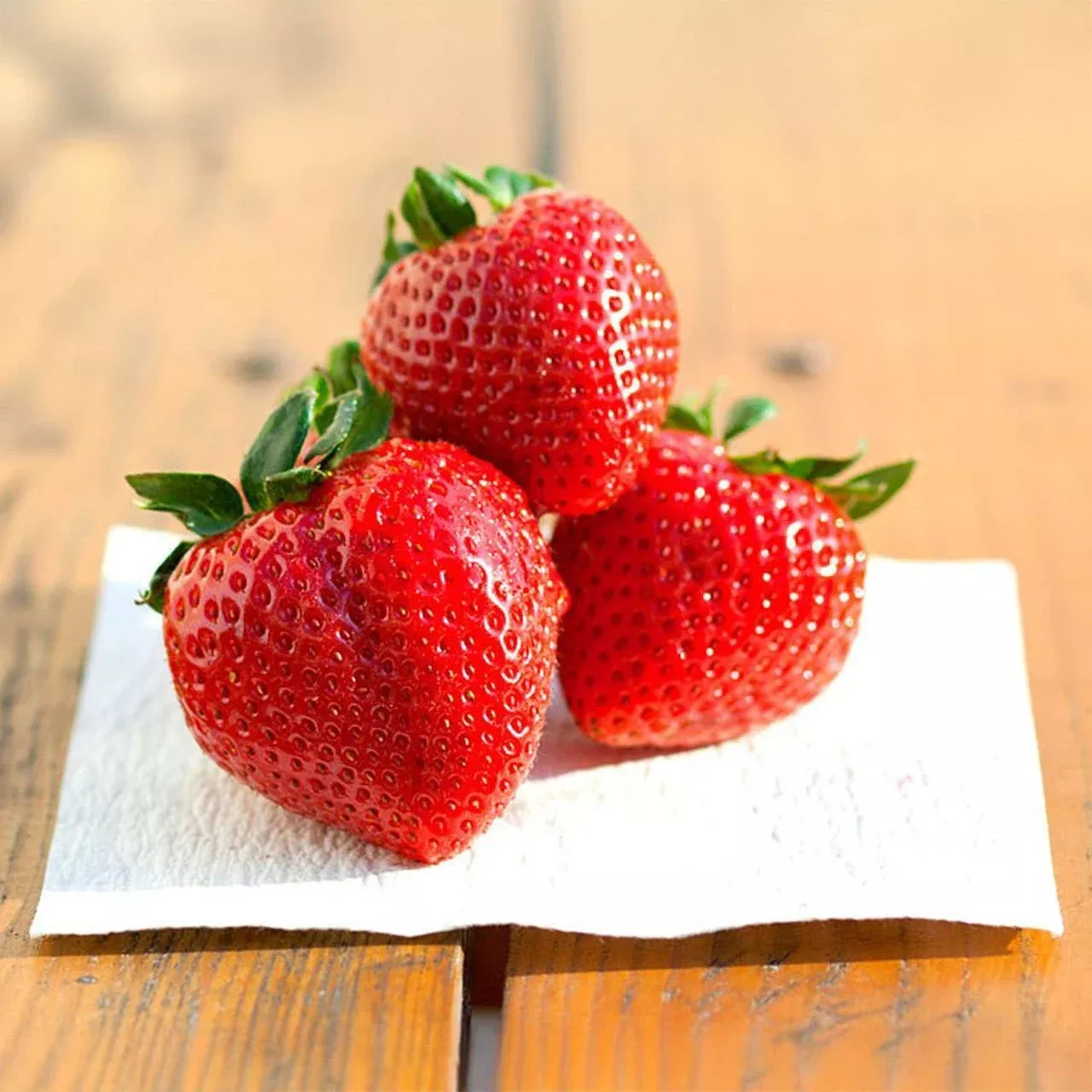 FreshPaper Produce Saver