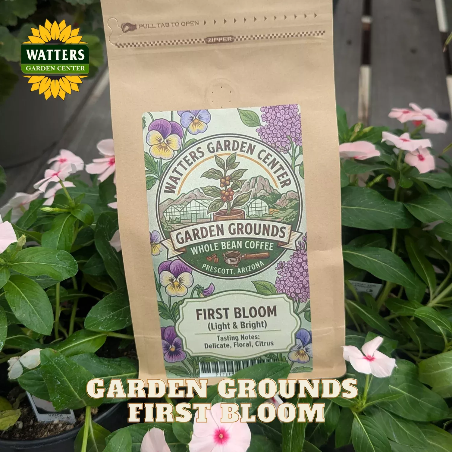 GARDEN GROUNDS FIRST BLOOM – WHOLE BEAN