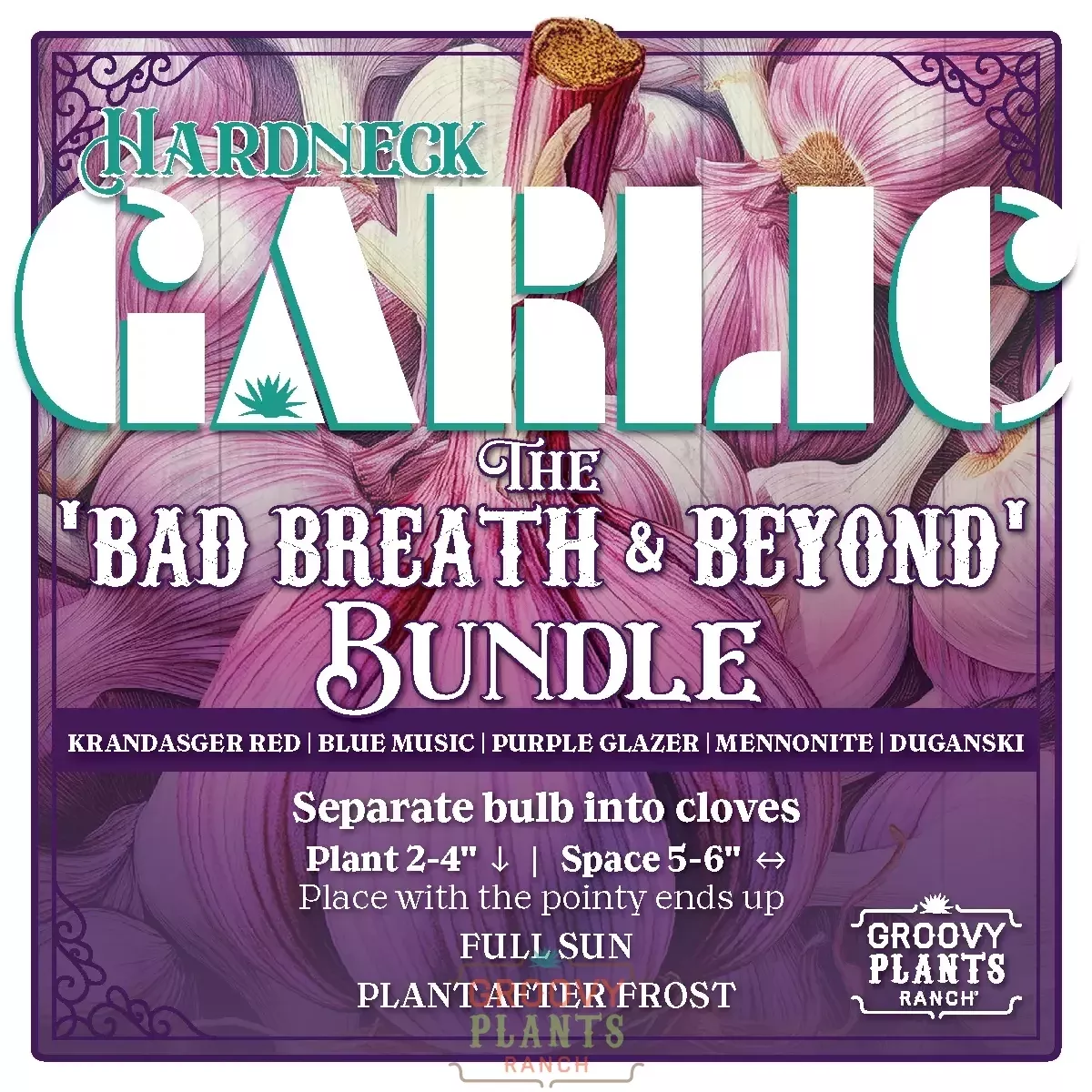 Garlic | Bad Breath and Beyond Bundle - Pickup October 16th - 19th