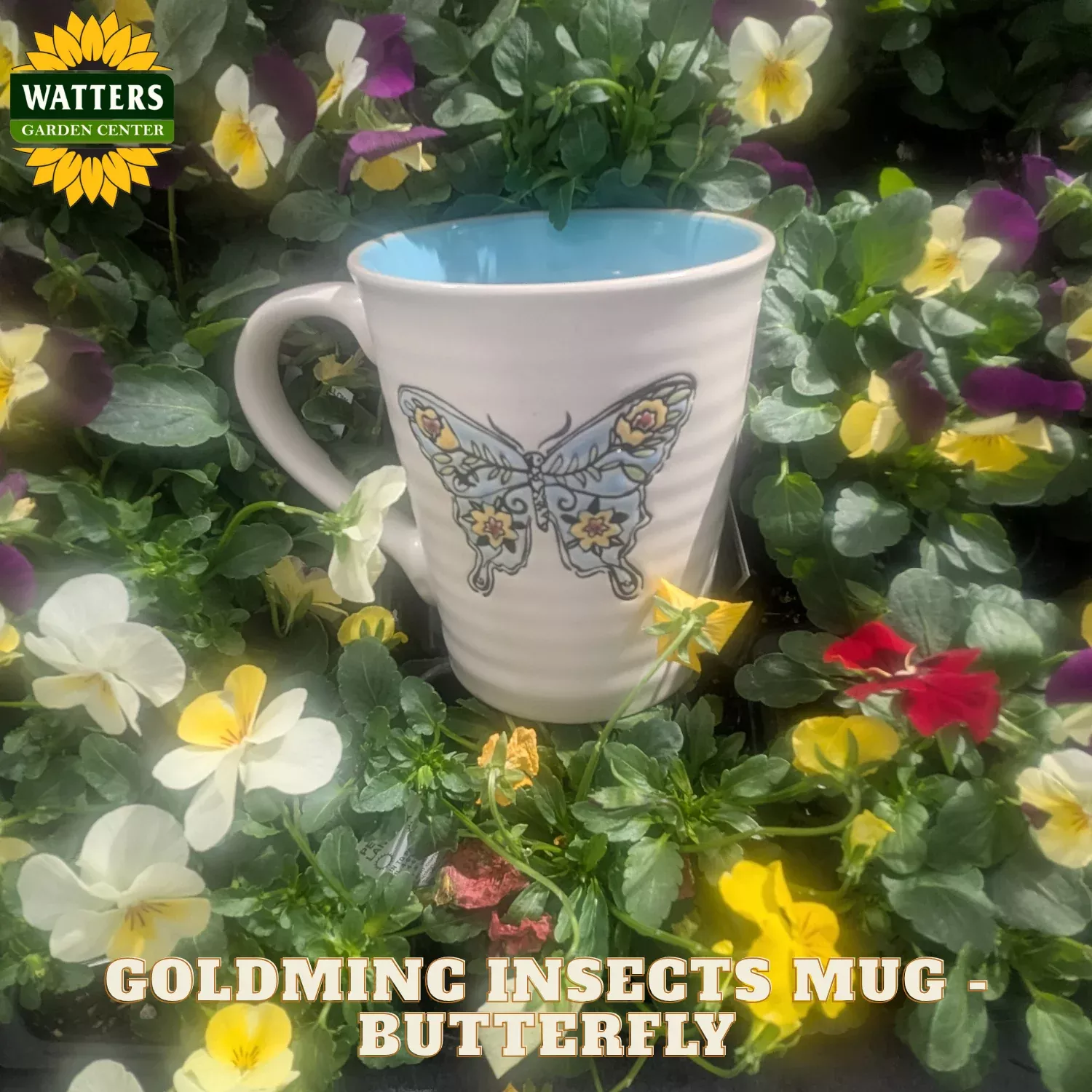 GOLDMINC INSECTS MUG