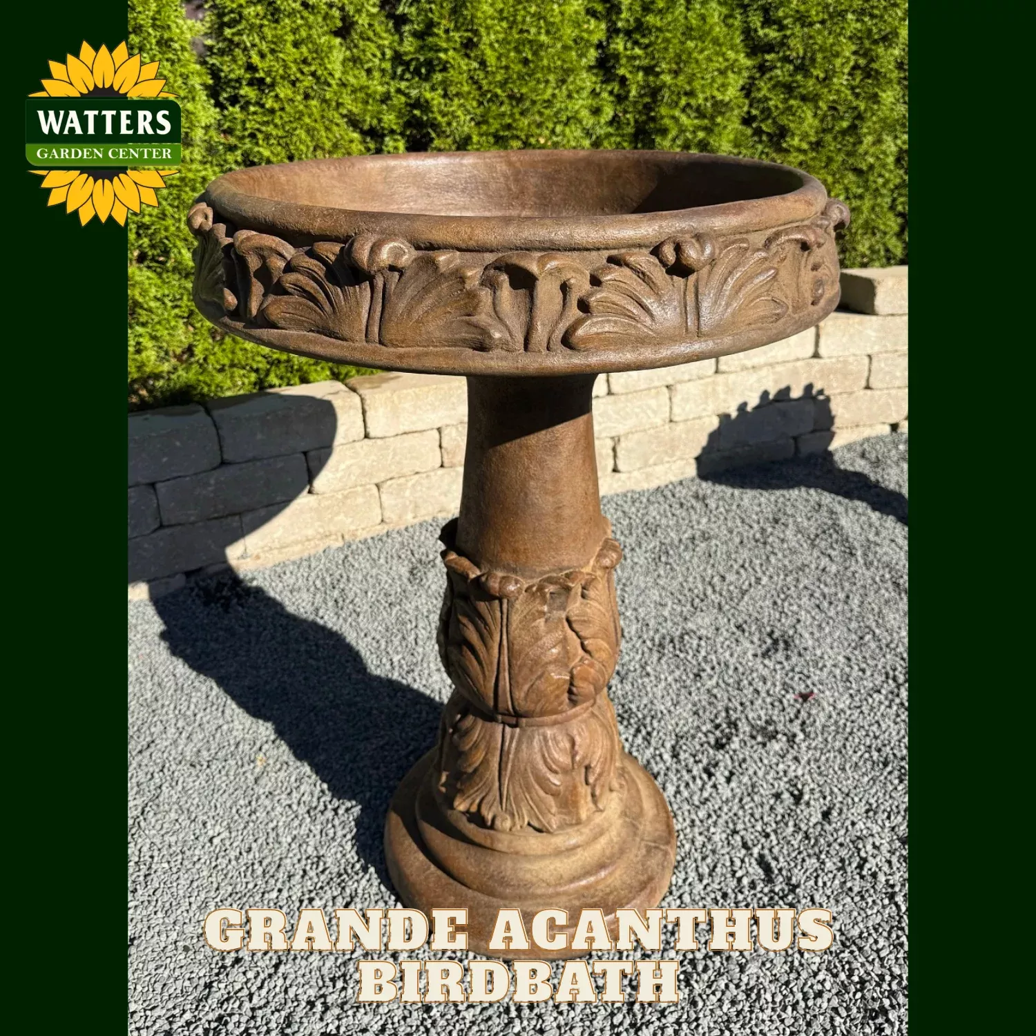 GRANDE ACANTHUS BIRDBATH