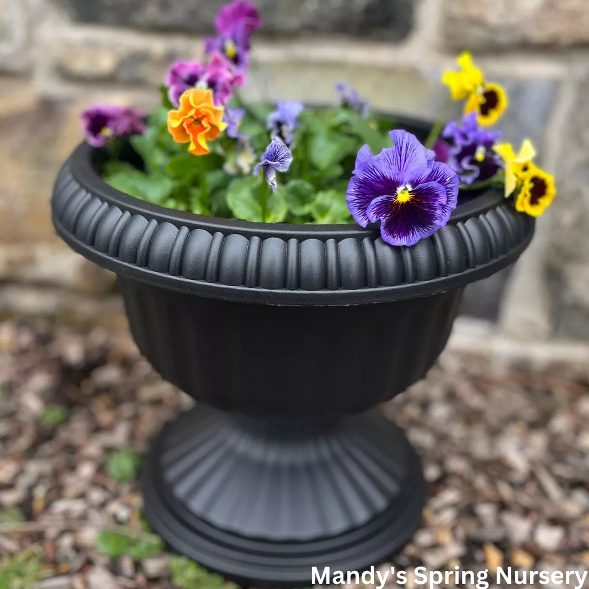 ‘Grecian’ Urn Black Planter