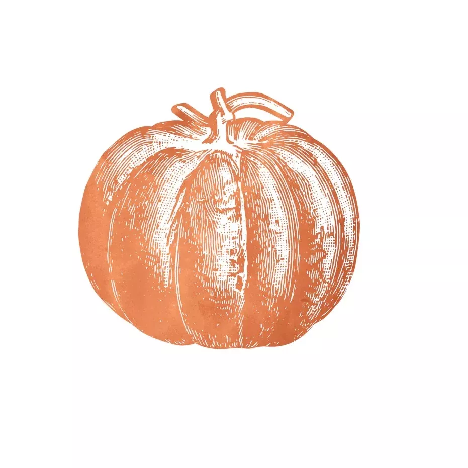 Hester & Cook Die-Cut Paper Pumpkin Placemats