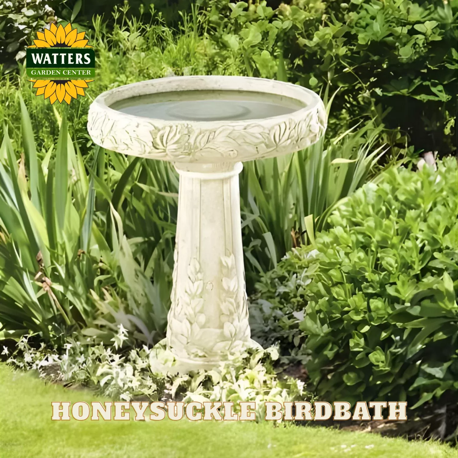 HONEYSUCKLE BIRDBATH