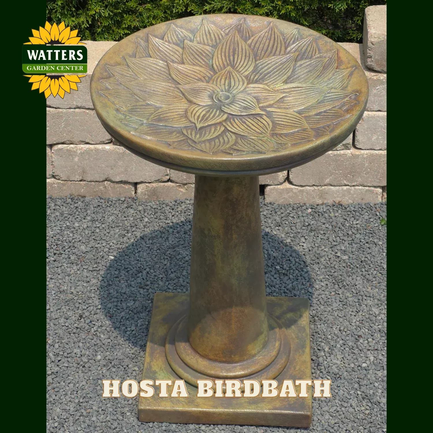HOSTA BIRDBATH