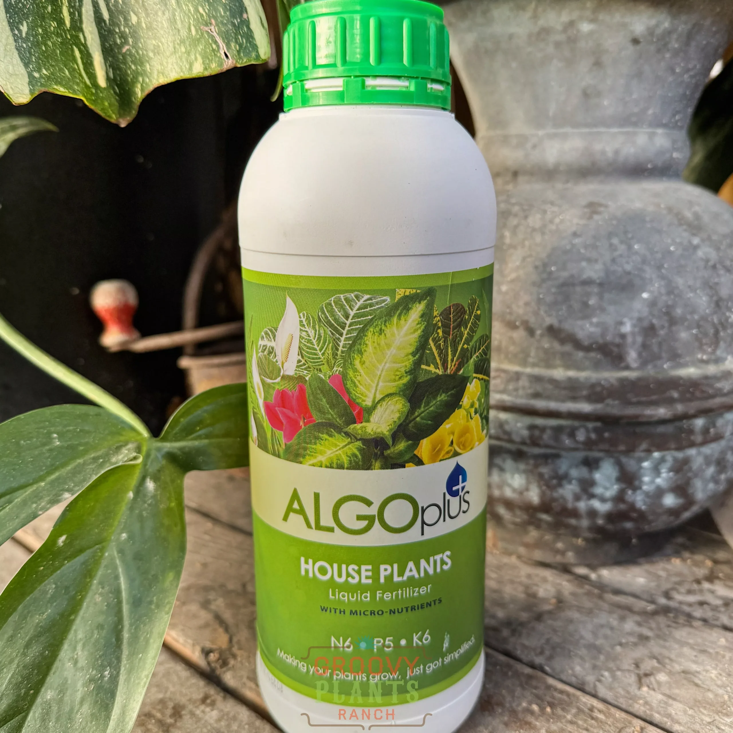 Houseplant Fertilizer