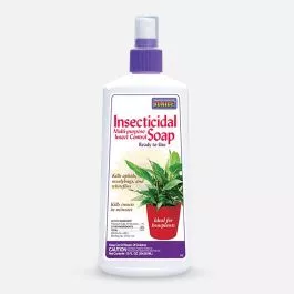 Insecticidal Soap Bonide