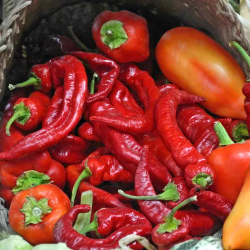 Jimmy Nardello Sweet Pepper Seeds – (Capsicum annuum)