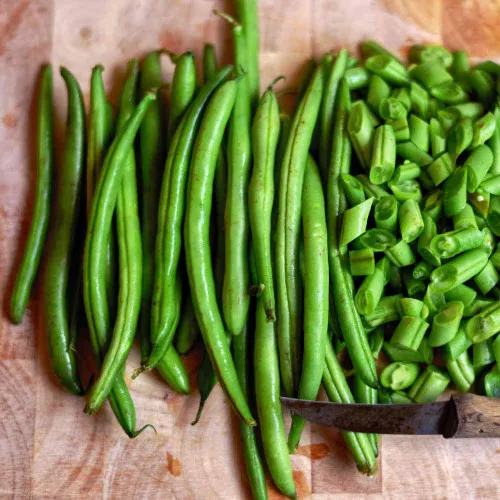 Kentucky Wonder Pole Bean (Brown) Seeds - (Phaseolus vulgaris)