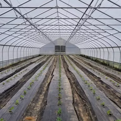 Klerks K50 Infrared Greenhouse Plastic