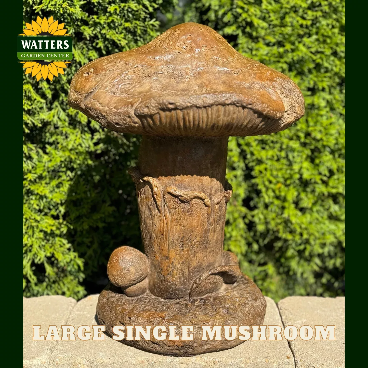 LARGE SINGLE MUSHROOM