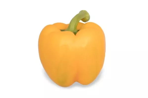 LemoncelloF1 Yellow Bell Pepper