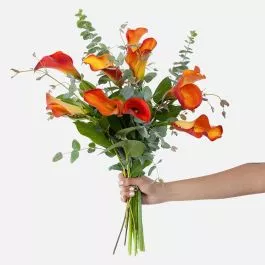 Mango Calla Lily Bouquet