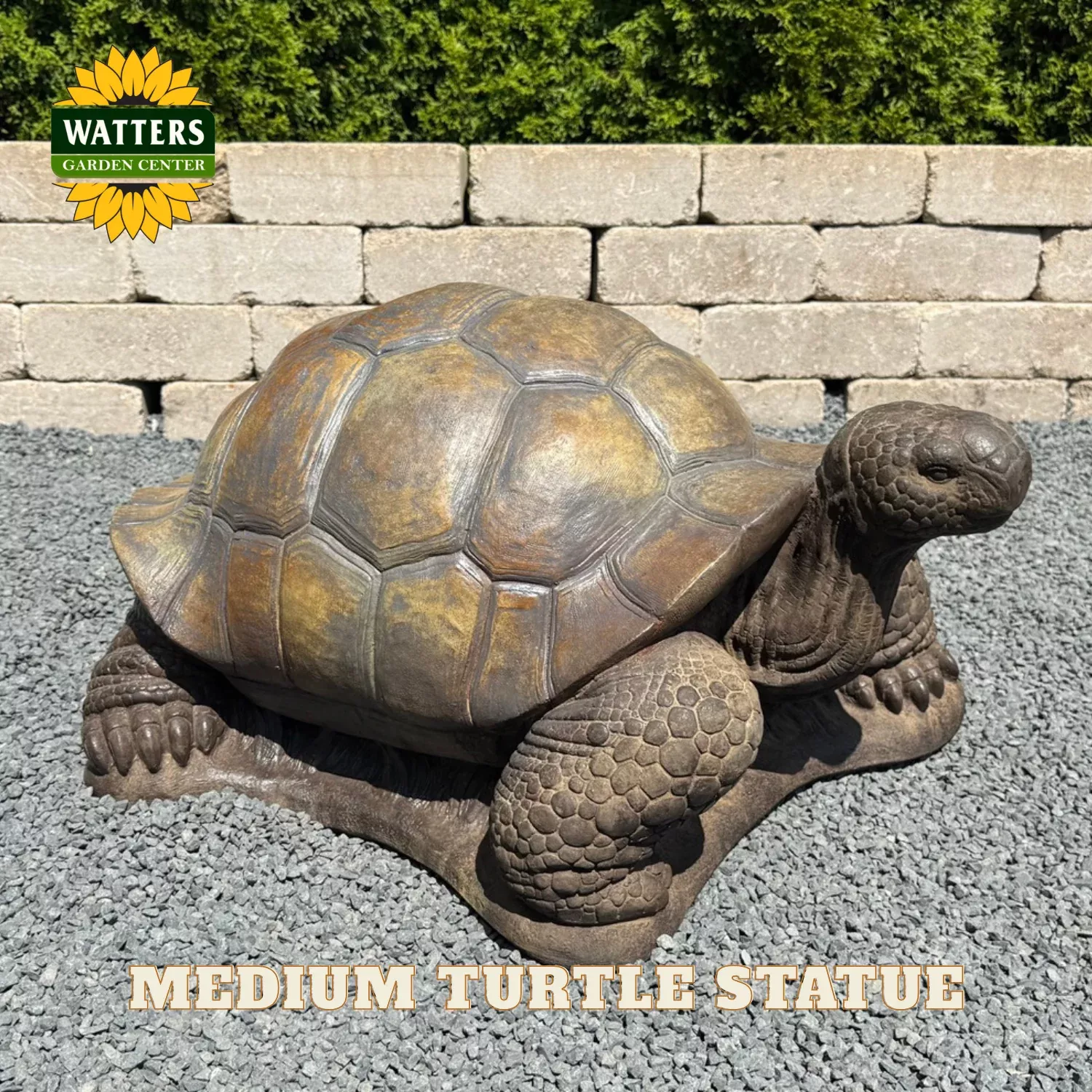 MEDIUM TURTLE STATUE