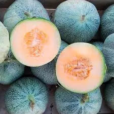 Melon Seeds, Petit Gris de Rennes: Organic, Super Sweet