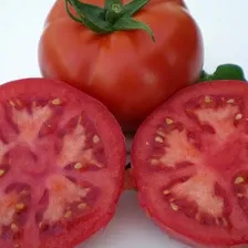 Meys F1(41-23) Beefsteak Tomato (TY)