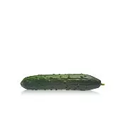 Modan F1Seedless Slicer Cucumber (Treated)