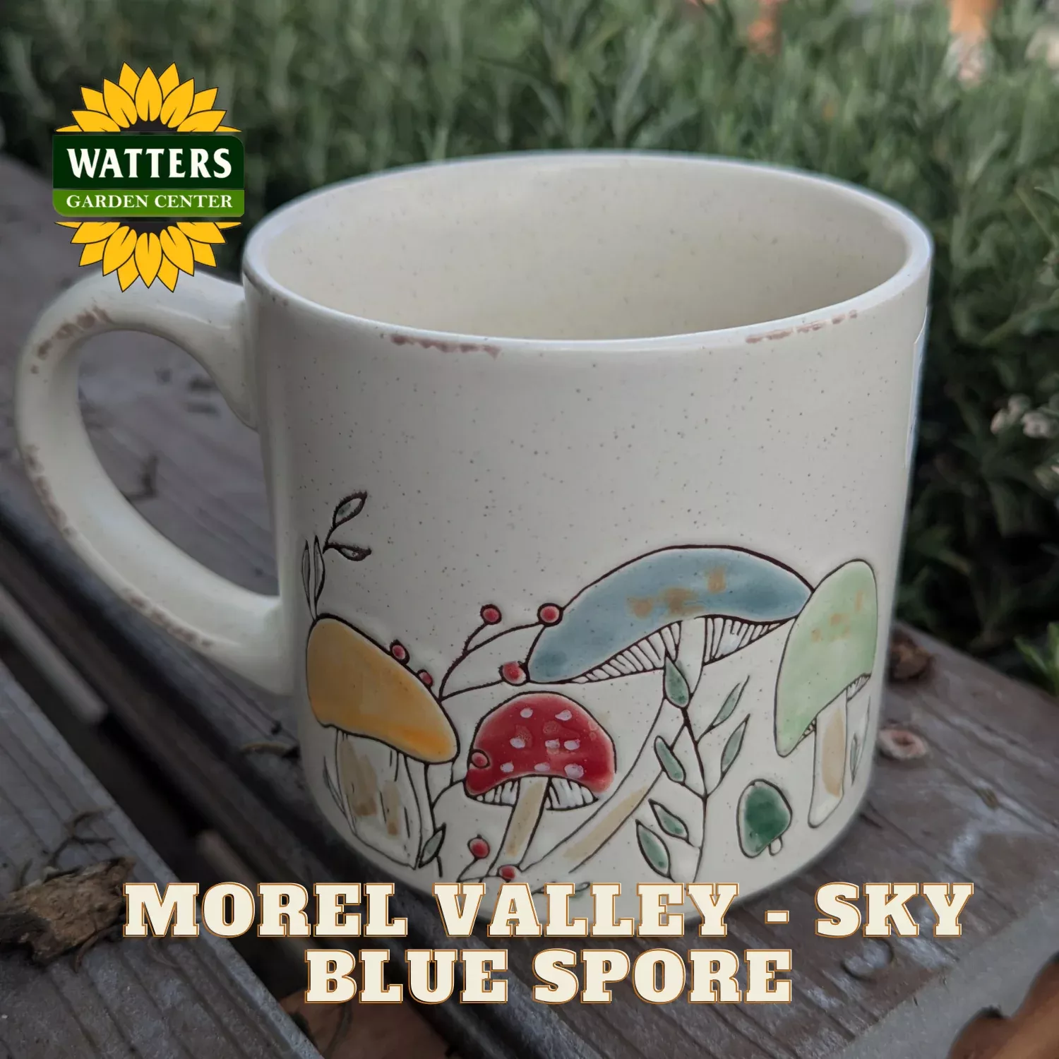 MOREL VALLEY MUG
