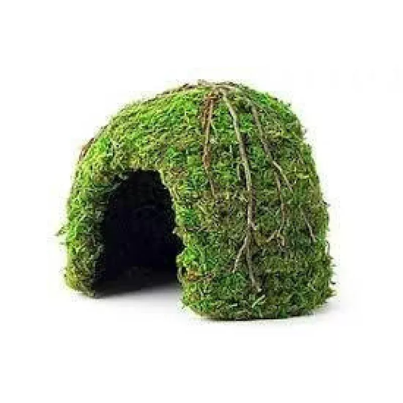 Mossy Dome