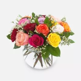 Multicolor Rose Garden