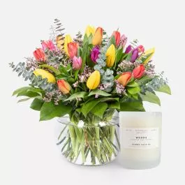 Multicolor Tulip Garden + Sydney Hale Candle