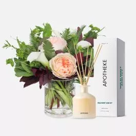 Nora + Apotheke Diffuser