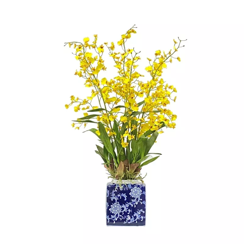 Oncidium Orchid in Blue & White Pot 31-inches tall
