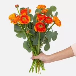 Orange Ranunculus Bouquet