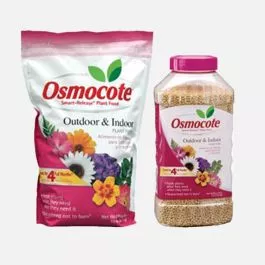 Osmocote – Indoor & Outdoor