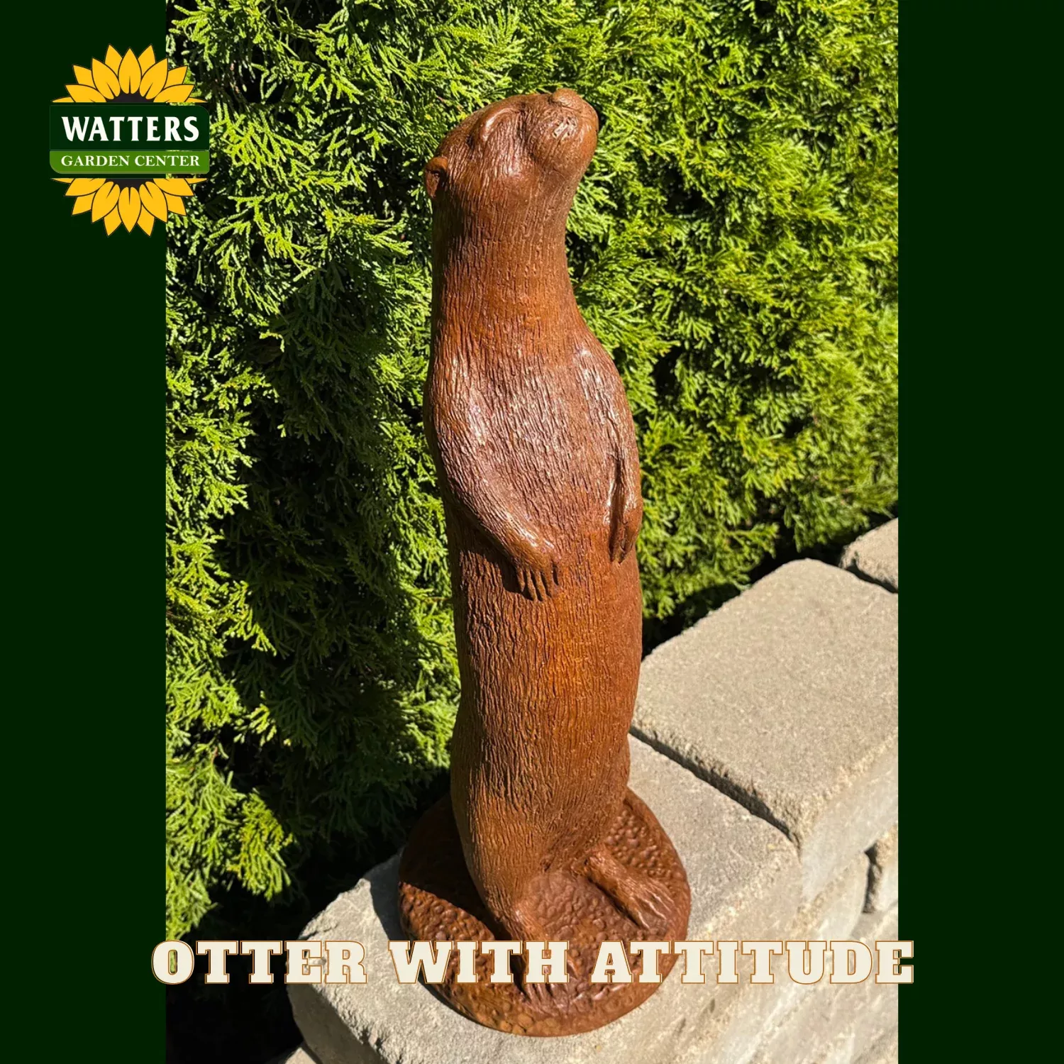 OTTER WITH ATTITUDE