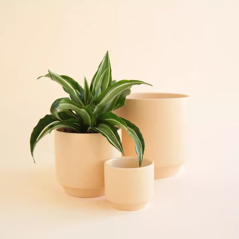 Parker Planter | Vanilla