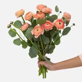Peach Ranunculus Bouquet