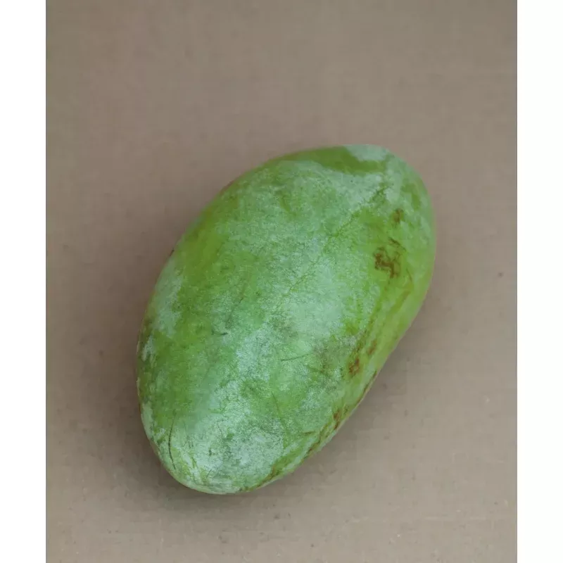 Pennsylvania Gold Pawpaw