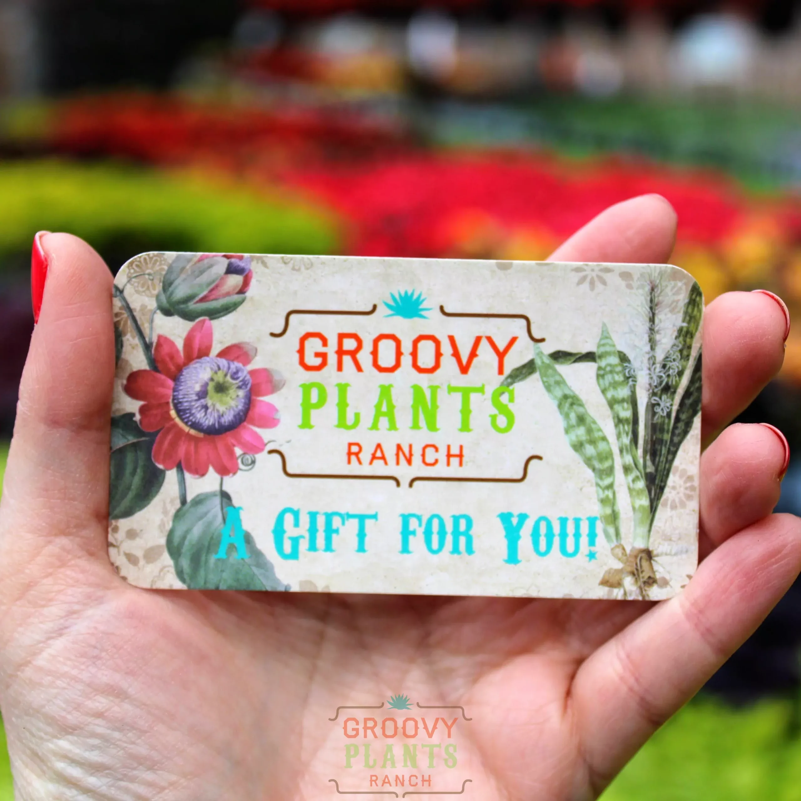 Physical Gift Card | Gift Certificate
