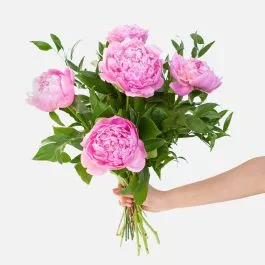 Pink Peony Bouquet