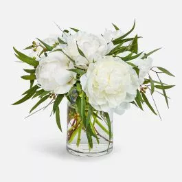 Precious Peonies