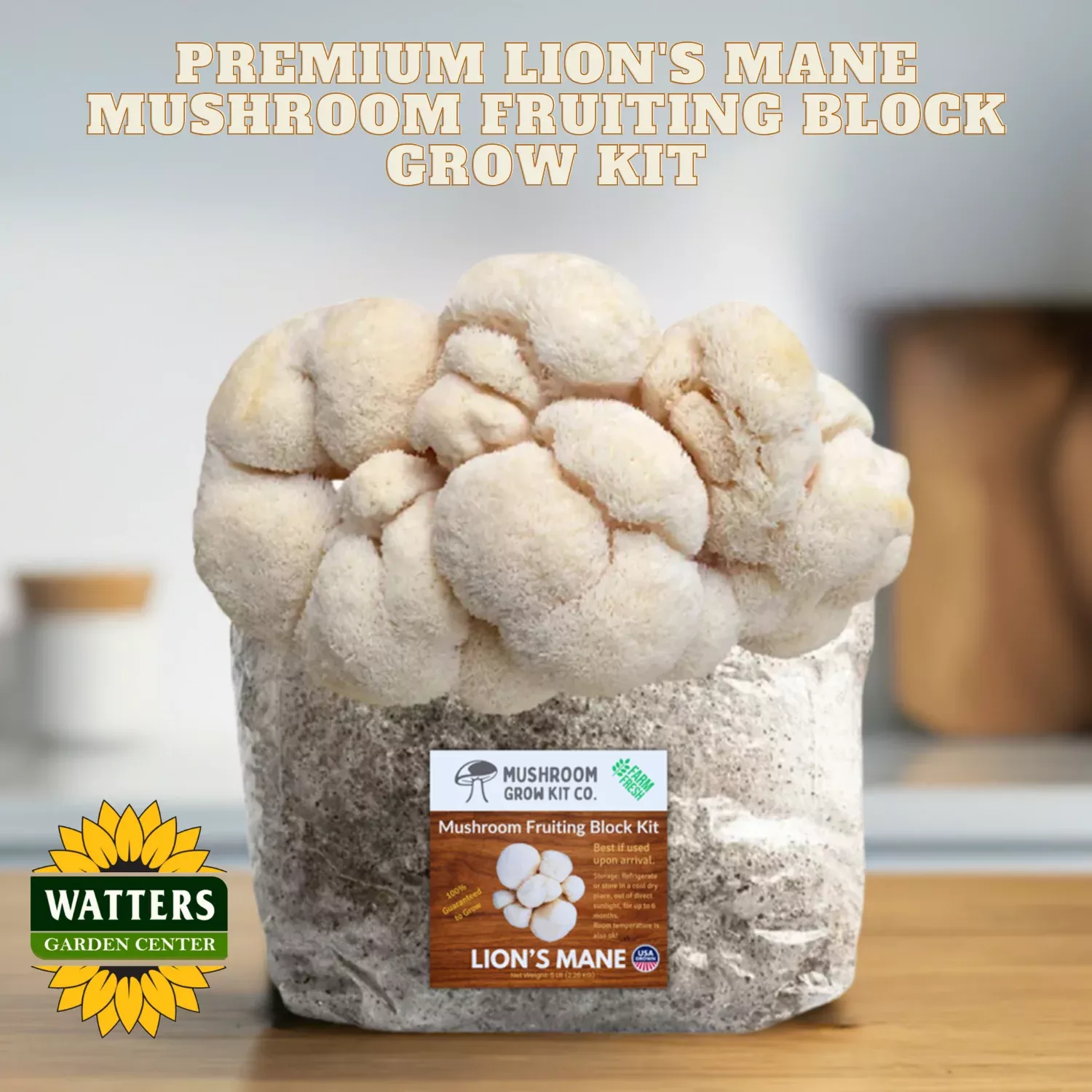 Premium Lion’s Mane Mushroom Fruiting Block Grow Kit – 5 LBS