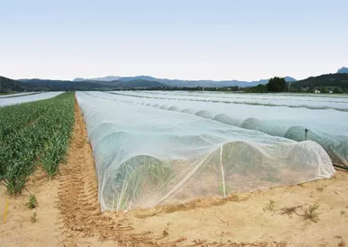ProtekNet Insect Netting 60 gram