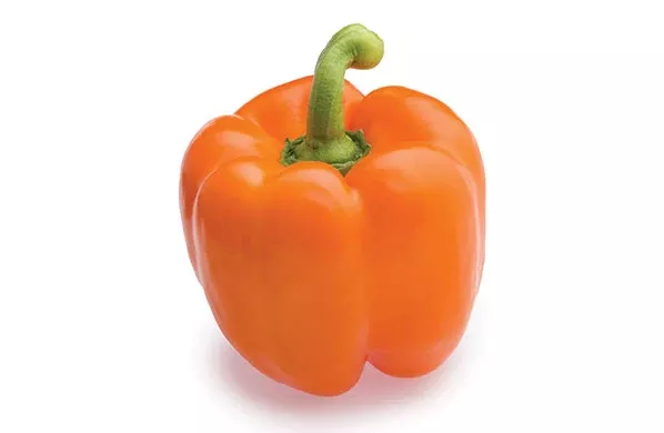 Raptor F1Orange Bell Pepper