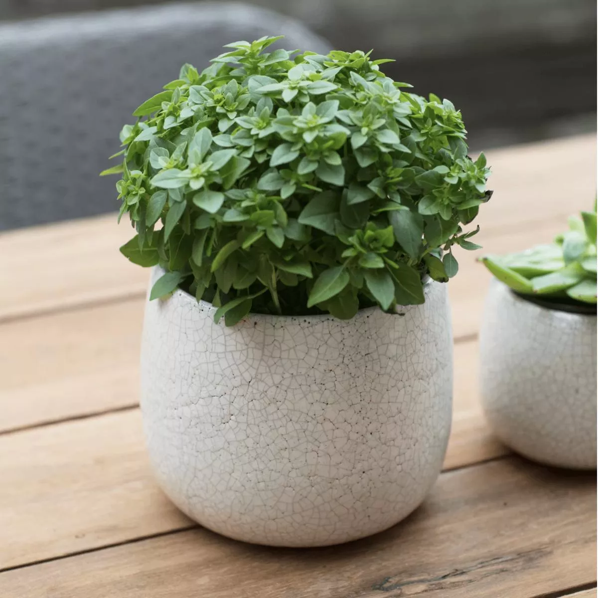 Ravello Pot