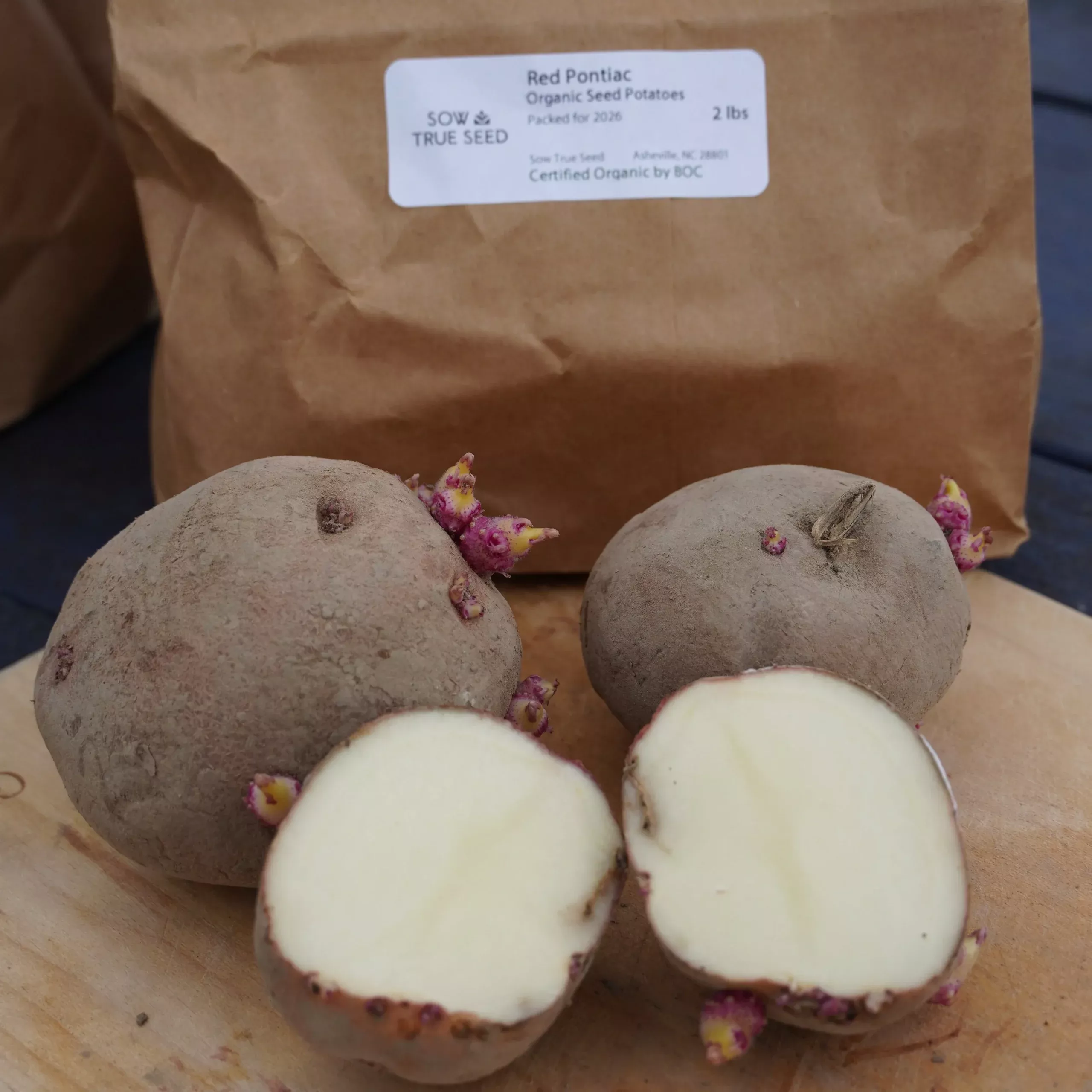 Red Pontiac Potato, ORGANIC