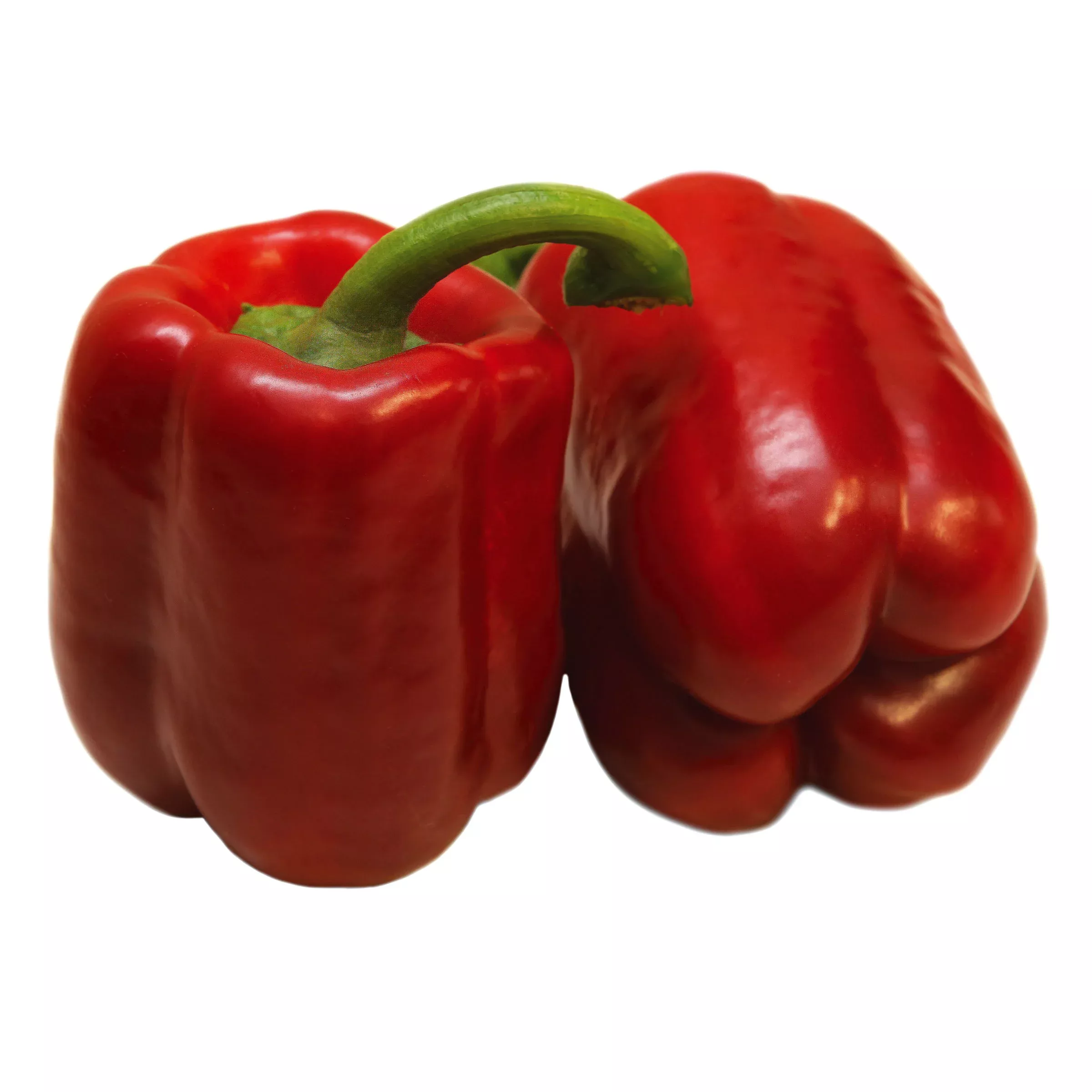 Riazor F1Red Bell Pepper
