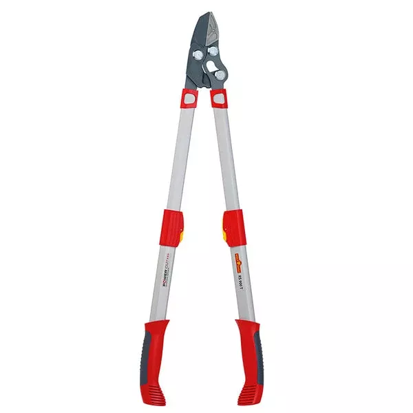RS900T Power Cut Telescoping Anvil Lopper