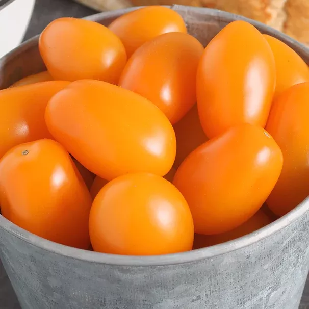 Santorange F1 Roma Tomato