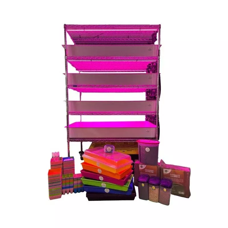 School Hydroponics System Grow Rack – STEM Education