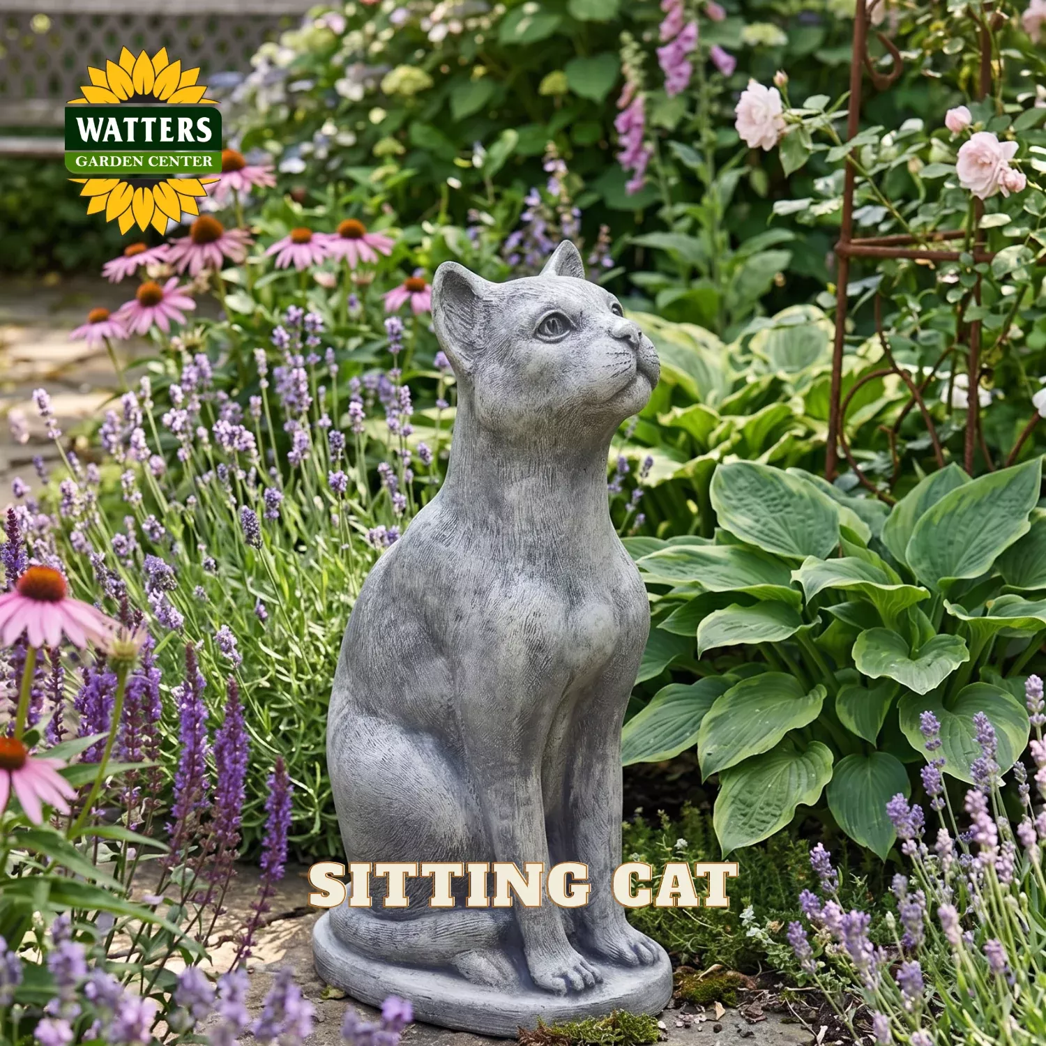 SITTING CAT